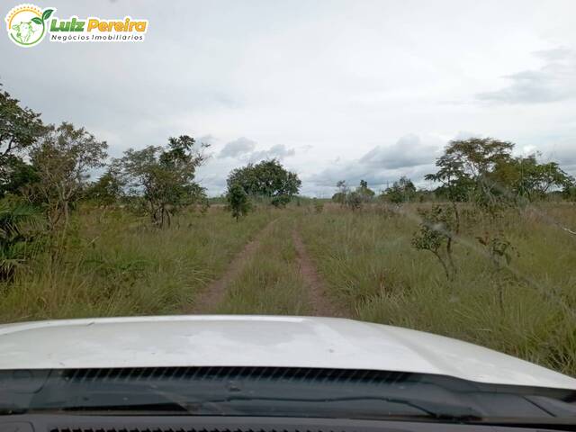 Fazenda para Venda em Dois Irmãos do Tocantins - 5