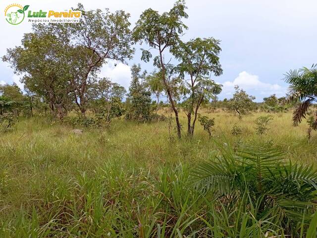 #2741 - Fazenda para Venda em Dois Irmãos do Tocantins - TO - 2