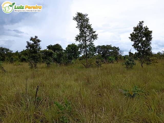 #2741 - Fazenda para Venda em Dois Irmãos do Tocantins - TO - 3