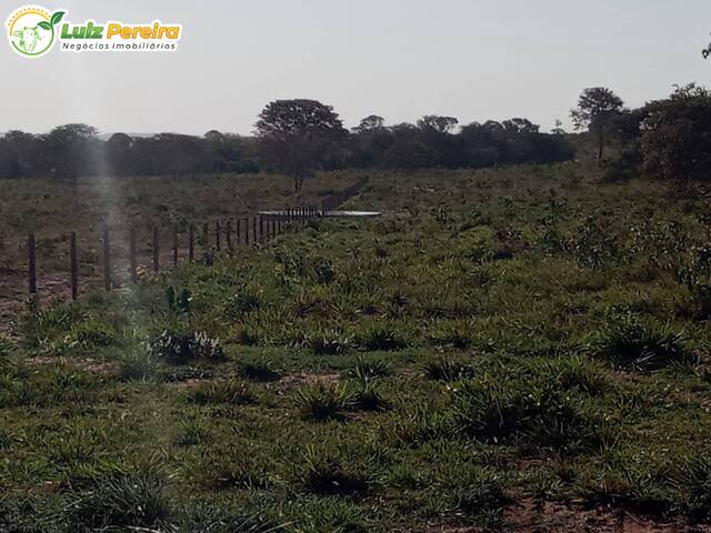 Fazenda para Venda em Camapuã - 5