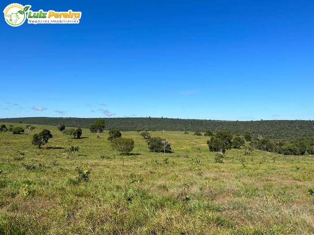 #2742 - Fazenda para Venda em Camapuã - MS - 3