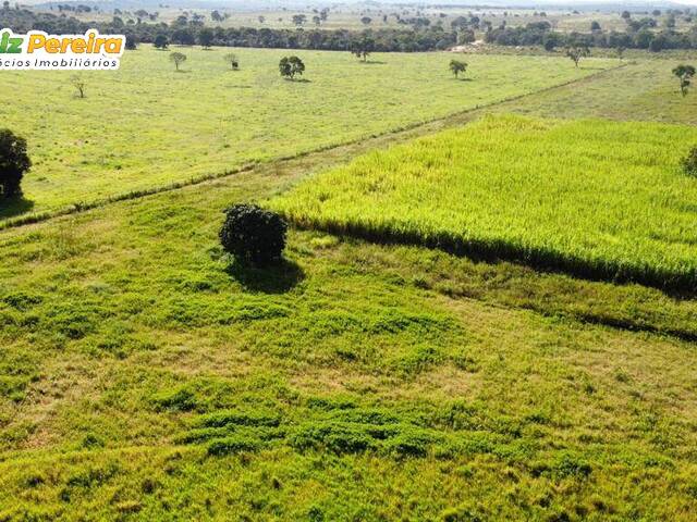 #2742 - Fazenda para Venda em Camapuã - MS - 2