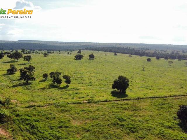 #2742 - Fazenda para Venda em Camapuã - MS - 1