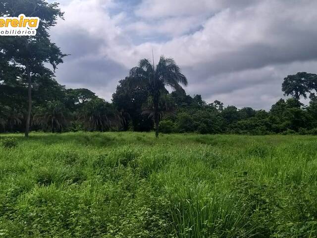 #2743 - Fazenda para Venda em Feira Nova do Maranhão - MA - 3