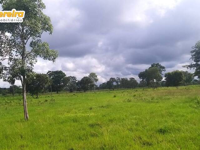 #2743 - Fazenda para Venda em Feira Nova do Maranhão - MA - 2