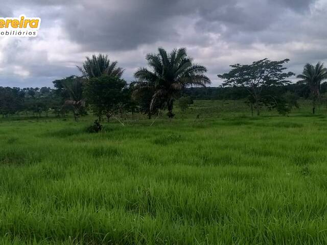Fazenda para Venda em Feira Nova do Maranhão - 5