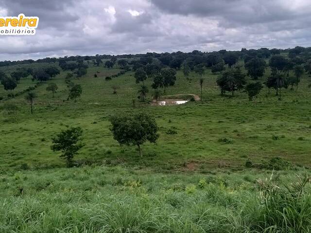 Fazenda para Venda em Feira Nova do Maranhão - 4