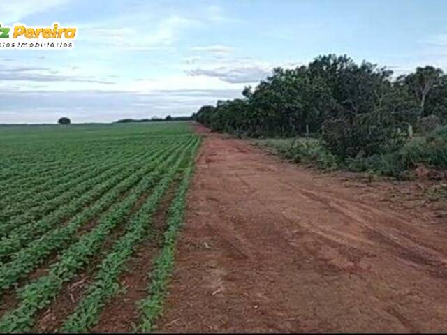 Fazenda para Venda em Dois Irmãos do Tocantins - 4