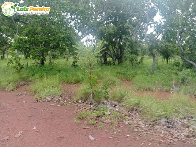 Fazenda para Venda em Dois Irmãos do Tocantins - 5