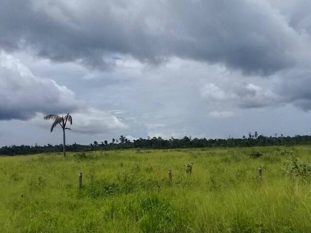 Fazenda para Venda em Tailândia - 4