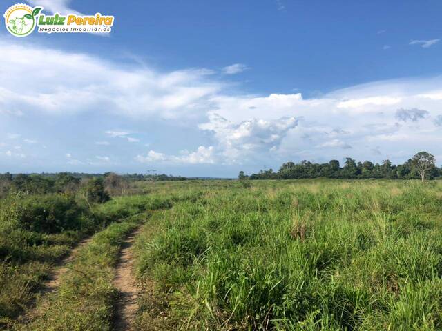Fazenda para Venda em Tailândia - 5