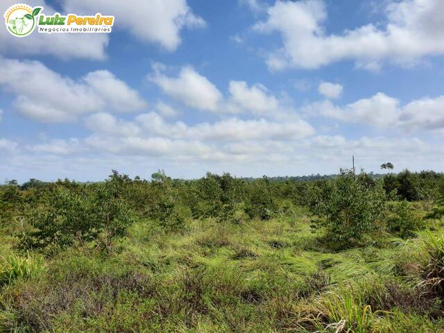 #2745 - Fazenda para Venda em Tailândia - PA - 2