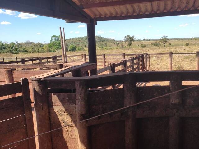 Fazenda para Venda em Santana do Araguaia - 4