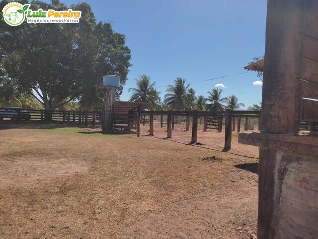 #2746 - Fazenda para Venda em Santana do Araguaia - PA - 3