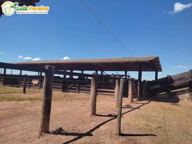 #2746 - Fazenda para Venda em Santana do Araguaia - PA - 2