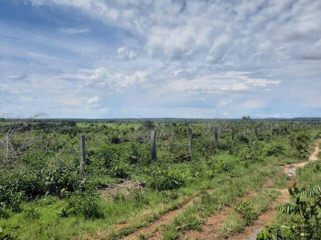 #2747 - Fazenda para Venda em Goianorte - TO - 3