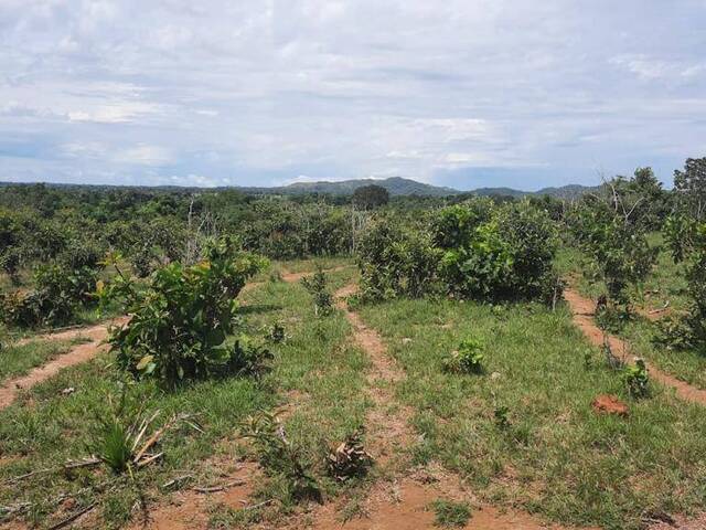 #2747 - Fazenda para Venda em Goianorte - TO - 2