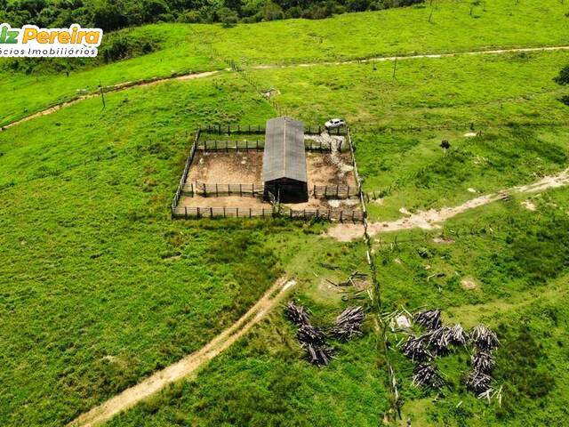Fazenda para Venda em Rondon - 4