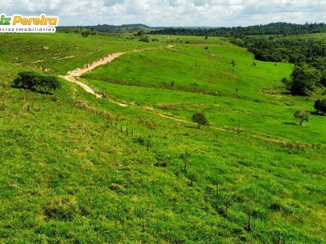 Fazenda para Venda em Rondon - 5