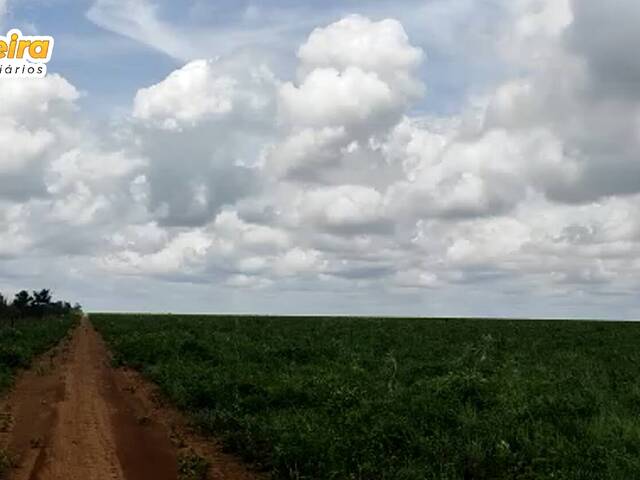 Chácara para Venda em Santa Maria das Barreiras - 4