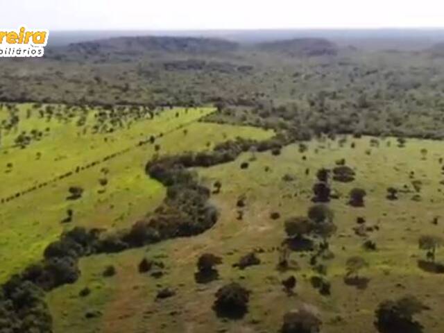 Fazenda para Venda em Carolina - 4
