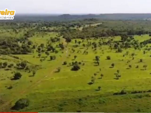 #2751 - Fazenda para Venda em Carolina - MA - 3