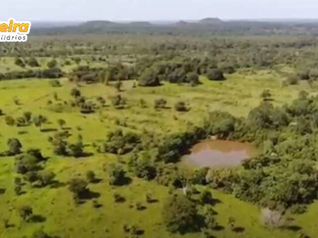 Fazenda para Venda em Carolina - 5