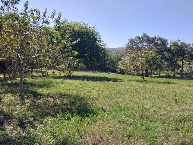 #2753 - Fazenda para Venda em Rio Verde de Mato Grosso - MS - 1