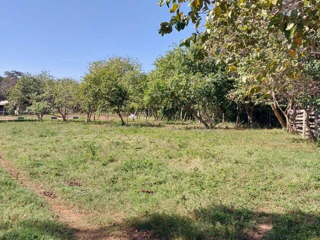 Fazenda para Venda em Rio Verde de Mato Grosso - 4
