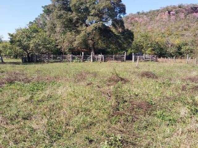 Fazenda para Venda em Rio Verde de Mato Grosso - 5