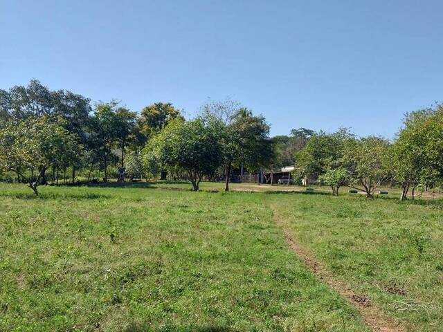 #2753 - Fazenda para Venda em Rio Verde de Mato Grosso - MS - 3