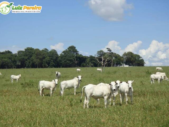 #2755 - Fazenda para Venda em Pedro Gomes - MS - 1