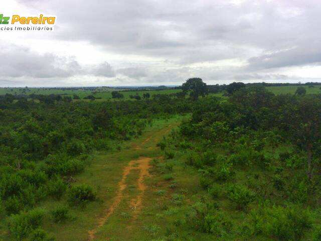 #2651 - Fazenda para Venda em Marabá - PA - 1