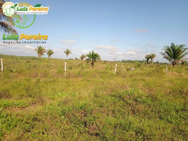 Fazenda para Venda em Marabá - 5