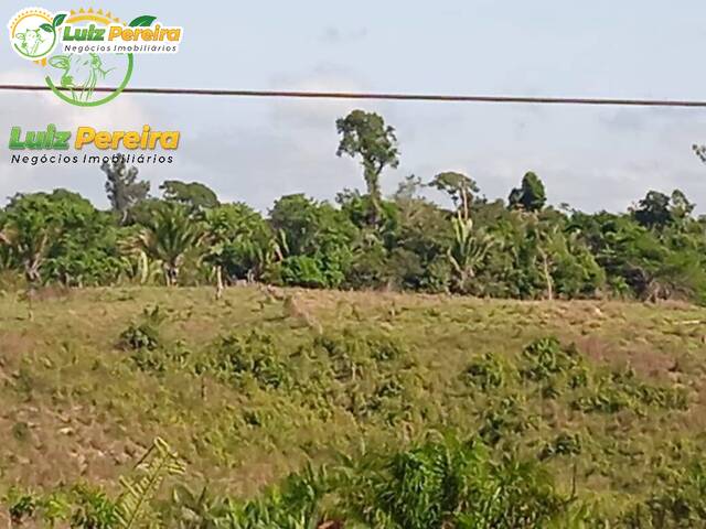 #2651 - Fazenda para Venda em Marabá - PA