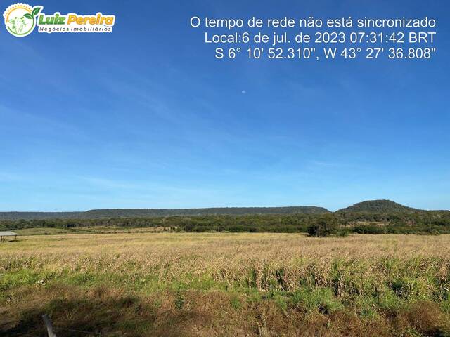 Fazenda para Venda em São João dos Patos - 4