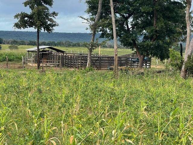 Fazenda para Venda em São João dos Patos - 5
