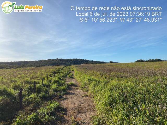#2757 - Fazenda para Venda em São João dos Patos - MA - 3