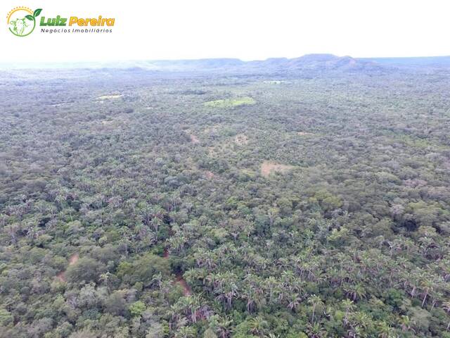 #2758 - Fazenda para Venda em Lagoa do Mato - MA - 3