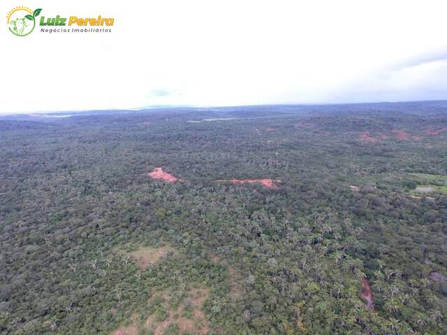 Fazenda para Venda em Lagoa do Mato - 5