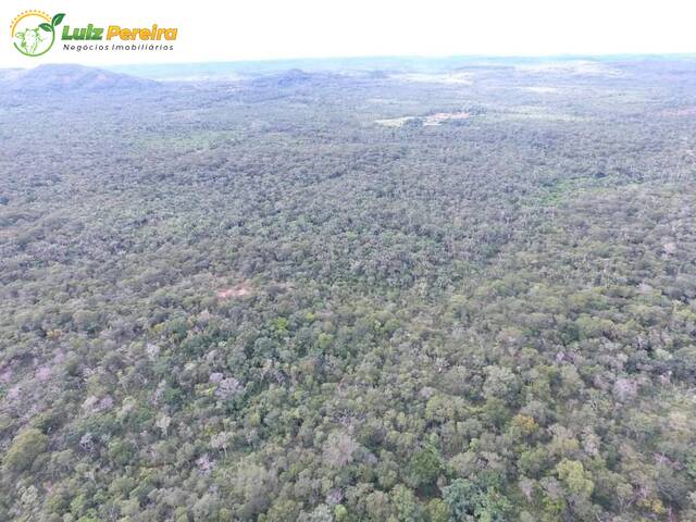 #2758 - Fazenda para Venda em Lagoa do Mato - MA - 2