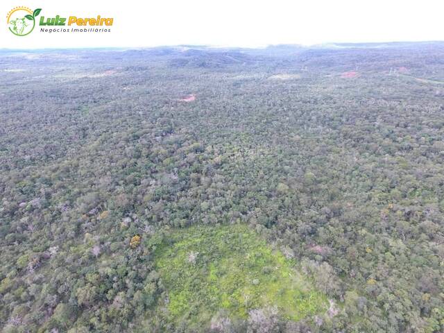 Fazenda para Venda em Lagoa do Mato - 4
