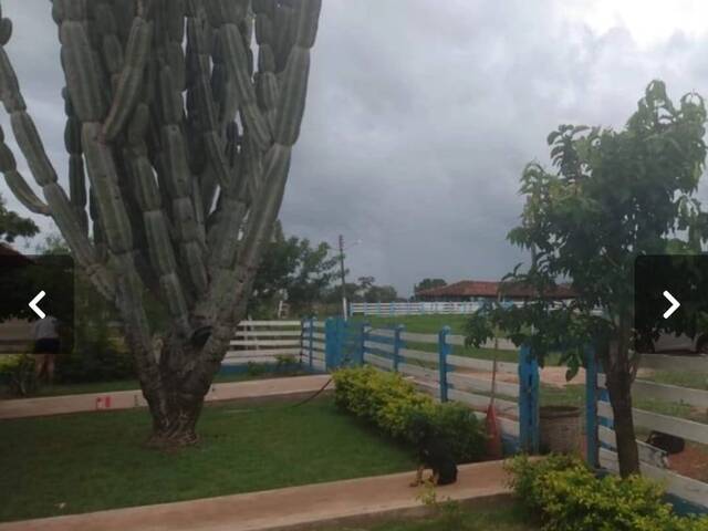 Fazenda para Venda em Arinos - 5