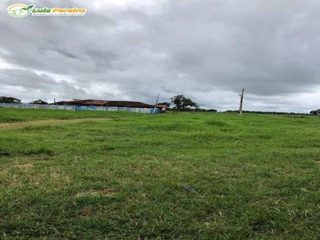 #2760 - Fazenda para Venda em Arinos - MG - 1