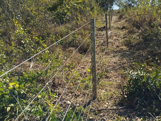 Fazenda para Venda em Arinos - 4