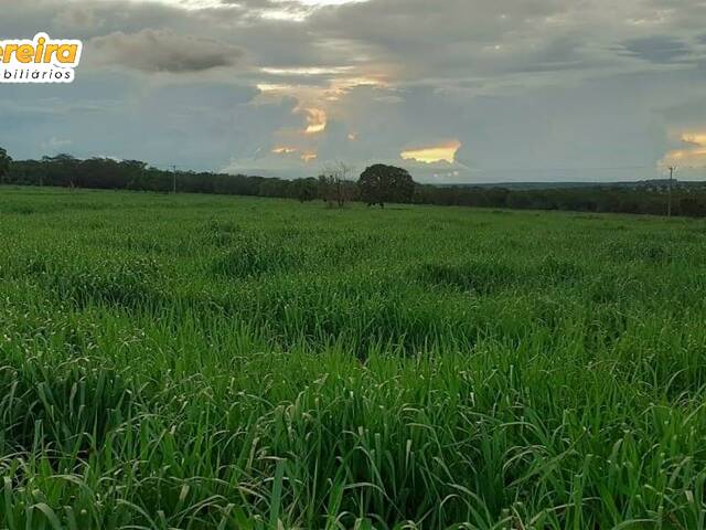 Fazenda para Venda em Coxim - 4