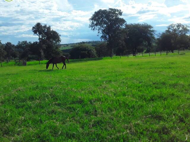 #2764 - Fazenda para Venda em Coxim - MS - 1