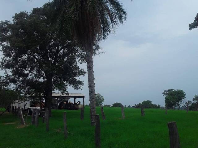 Fazenda para Venda em Coxim - 5