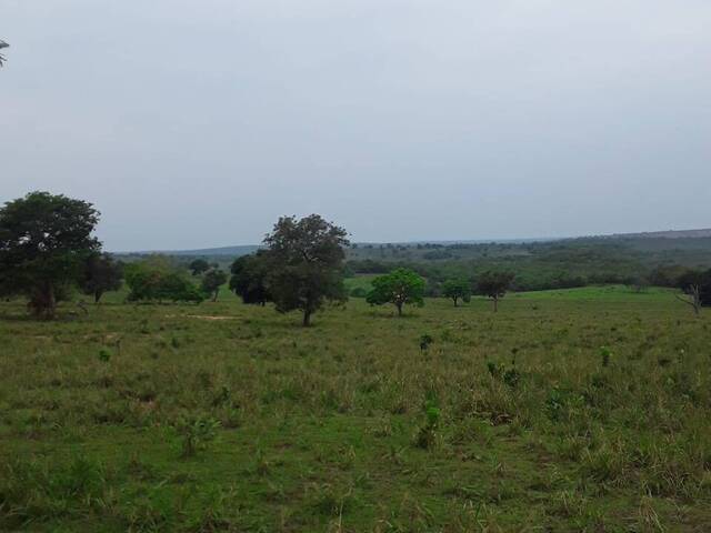 #2764 - Fazenda para Venda em Coxim - MS - 2