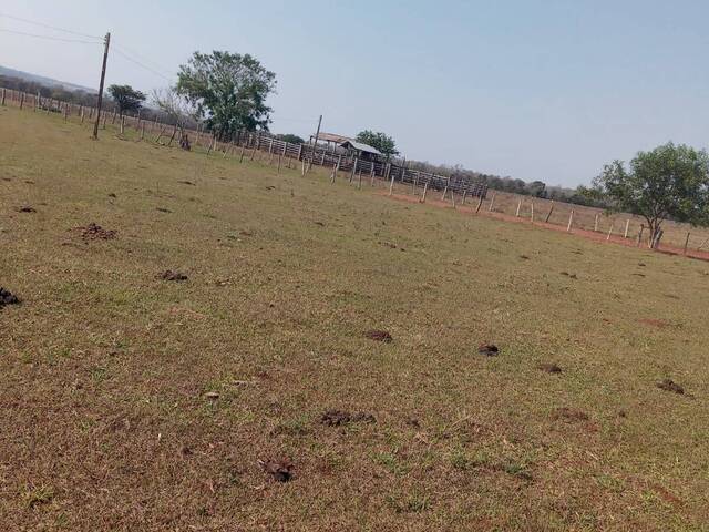 Fazenda para Venda em Campo Grande - 5
